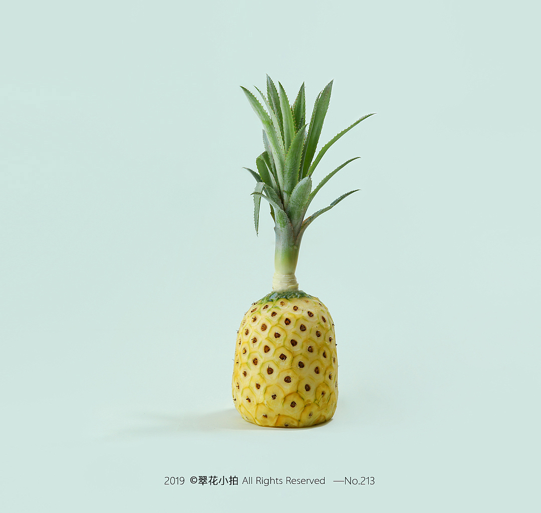 创意摄影#9（图ZMTY0MjQyMzAw） - 产品摄影 - 站酷设计师翠花小拍原创素材 - 站酷ZCOOL