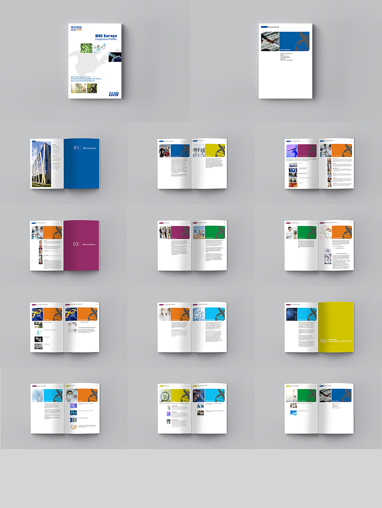 画册,英文画册,Product catalog,brochure