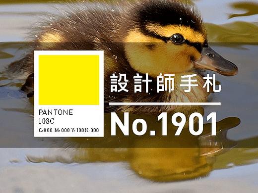 等着瞧。设计月报：1901期（个人主页-ZOTEwMzM2） - 其他 - 站酷设计师李介介原创素材 - 站酷ZCOOL