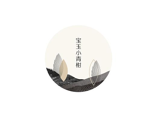 小青柑茶叶 包装