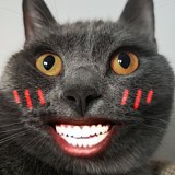 Duorou的头像