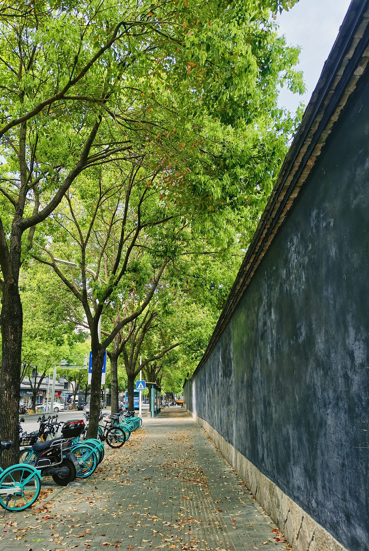 疫情下的春日长巷（图ZMjk1Mzk2Mzg4） - 风光摄影 - 站酷设计师Z092230187原创素材 - 站酷ZCOOL