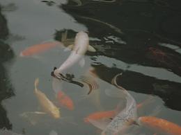 與家人一起的“五一”假期