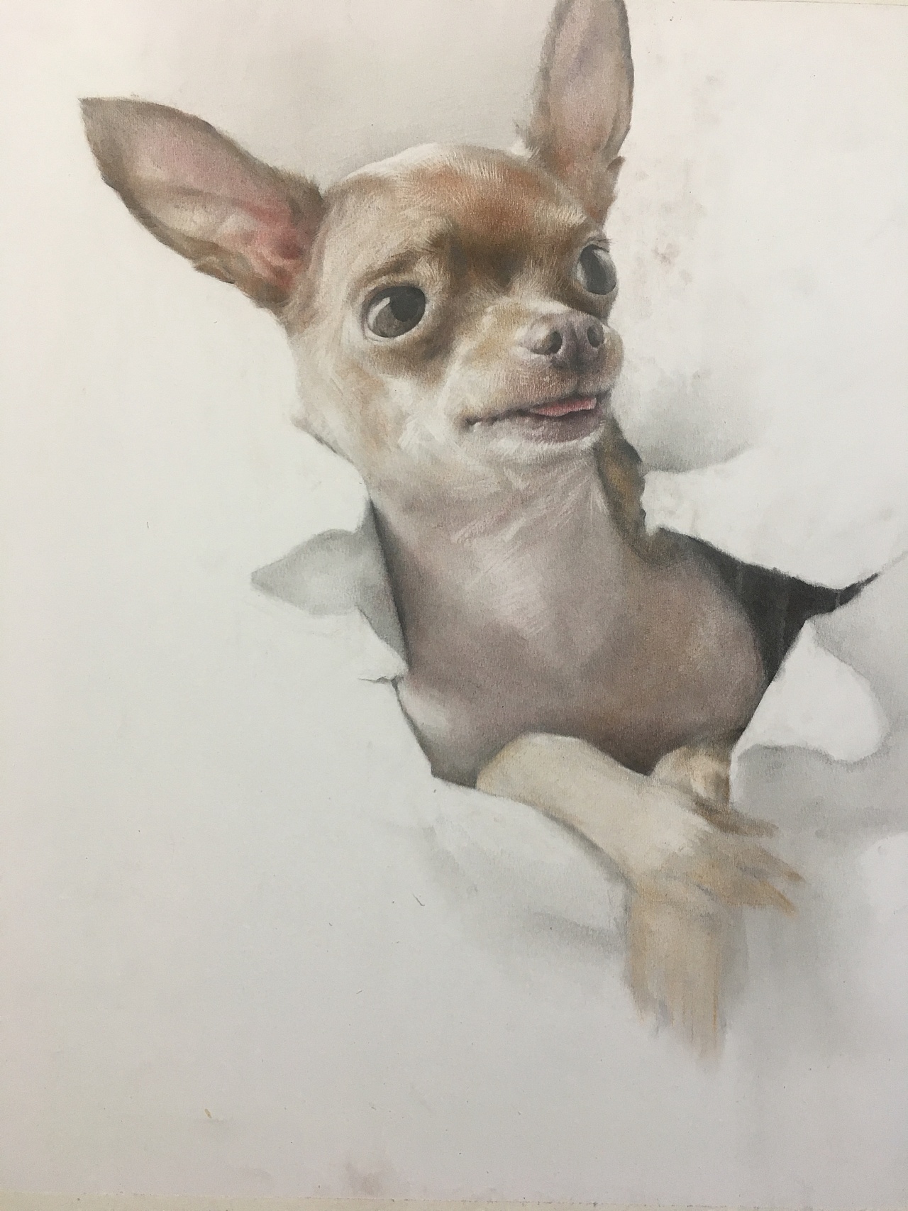 色粉画精微素描