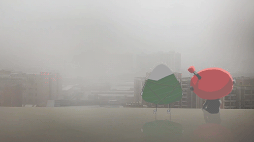 疫情上半年都干了些啥呀我