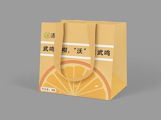 橙（個人主頁-ZNDg2MjUxNDA=） - 包裝 - 站酷設(shè)計師Z36789408原創(chuàng)素材 - 站酷ZCOOL