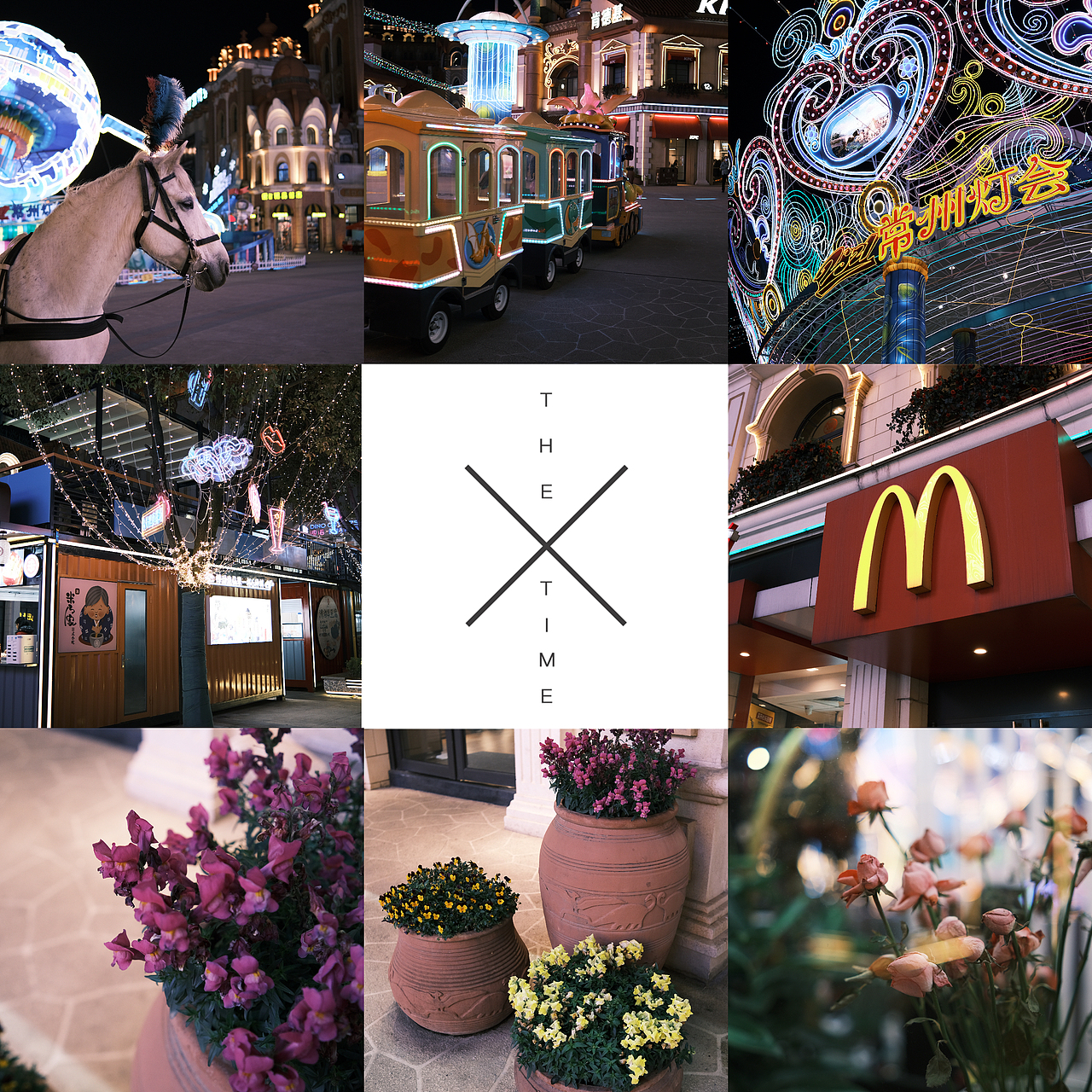 夜晚恐龙园的小角落