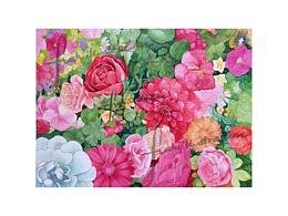 水彩花卉Ⅰ——紅色花叢中