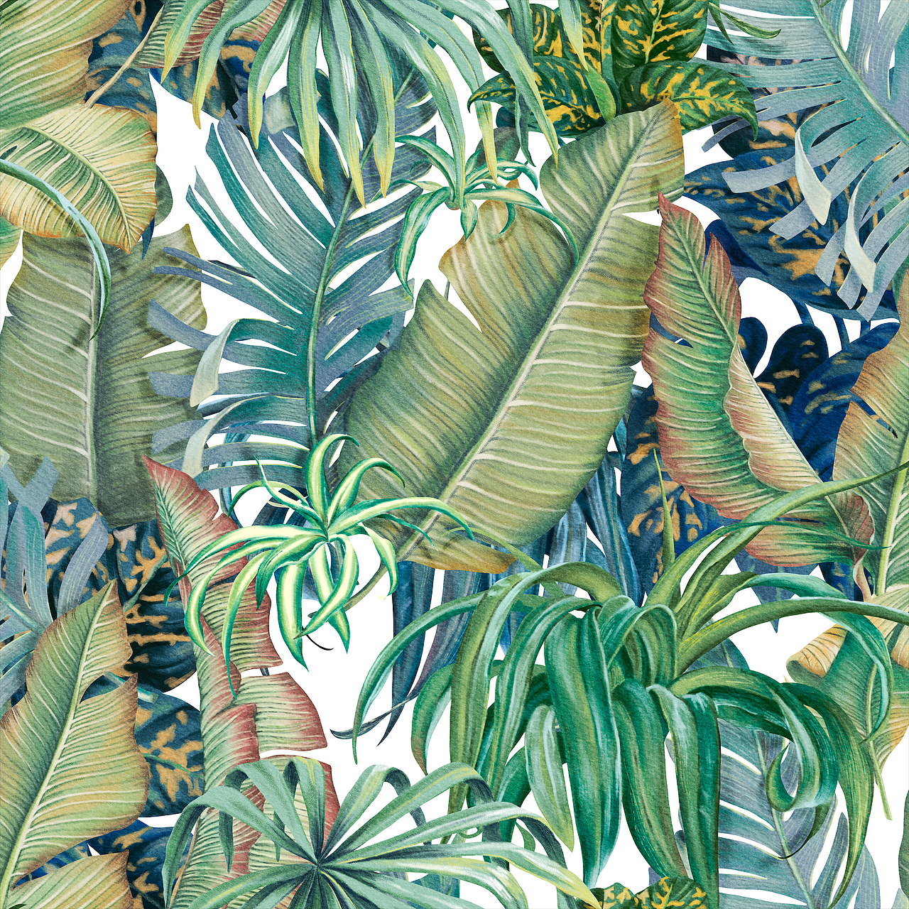 热带雨林|服装|其他服装|xiujia大耳朵 - 原创作品 - 站酷 (zcool)