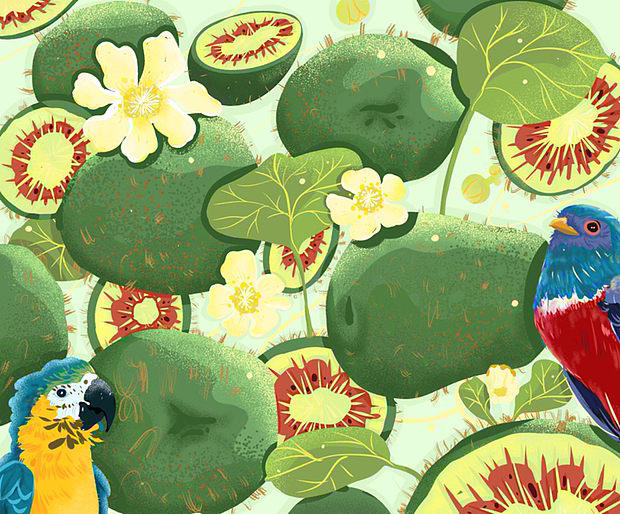 这一年的水果系列插画总结