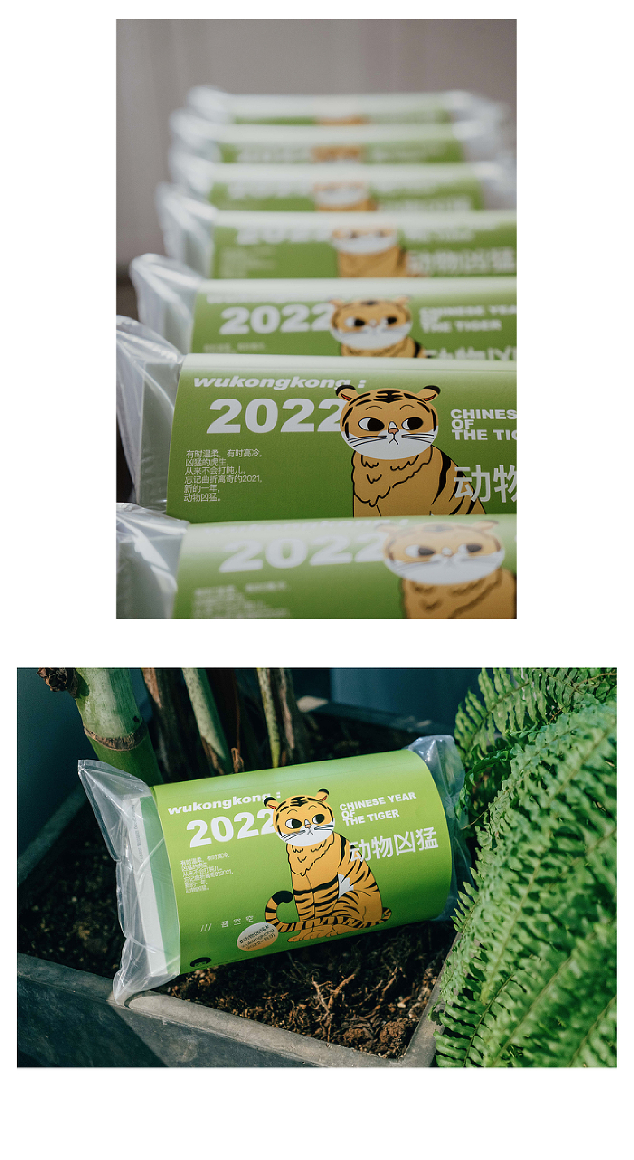 感谢小伙伴们的观看,会继续努力创作的~一起加油吧!