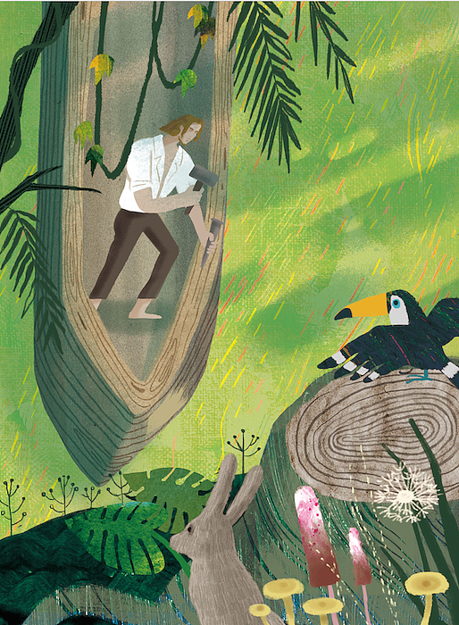 《鲁冰逊漂流记》书籍插画