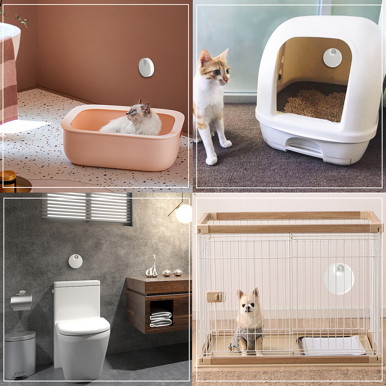 亚马逊除臭器主图设计