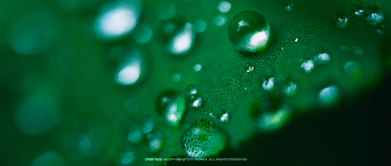 《LAOWA MFT 50/2.8 MACRO 2X》（图ZMjE4MjIzNDgw） - 风光摄影 - 站酷设计师摄影师子意原创素材 - 站酷ZCOOL