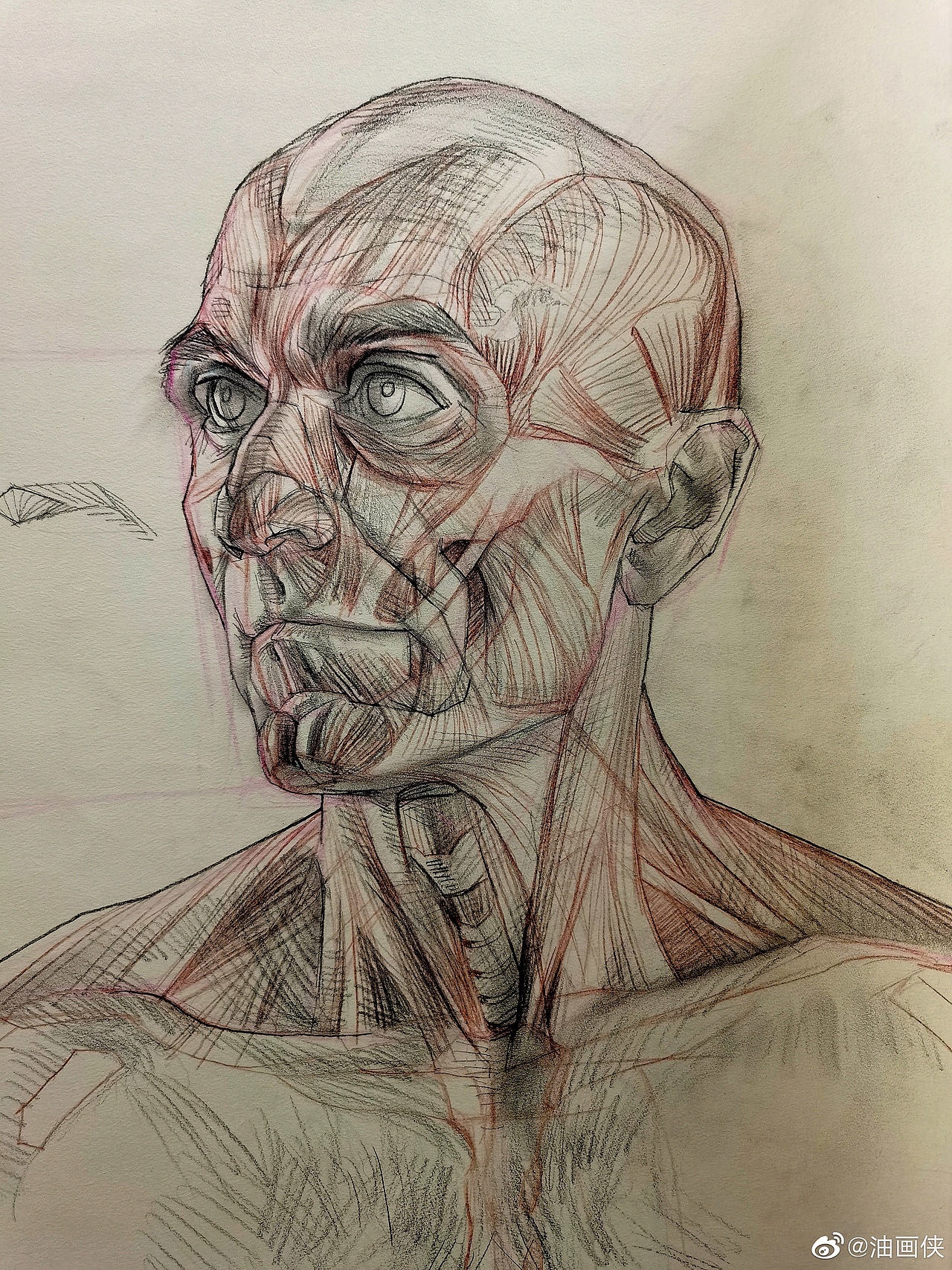 油画侠管老师线下人体写生解剖课课堂示范