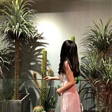 大黃蜂少女的头像