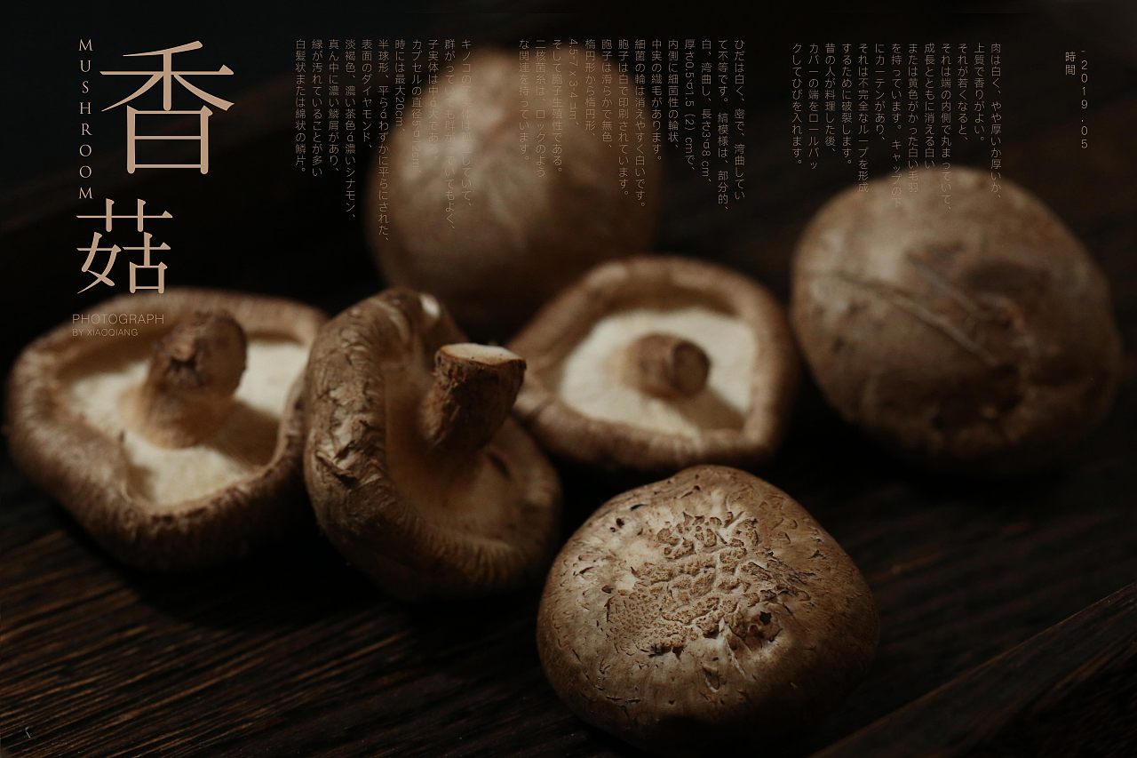香菇摄影图__蔬菜_生物世界_摄影图库_昵图网nipic.com