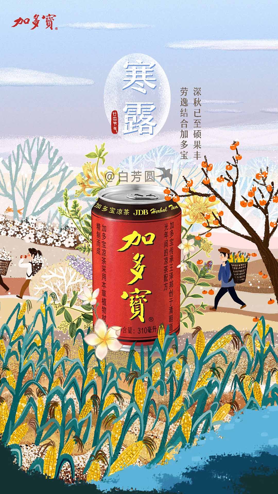 加多宝——二十四节气插画