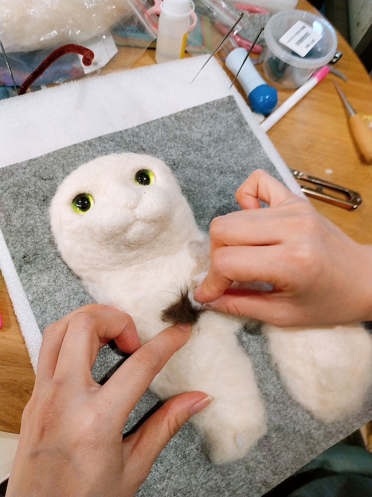 把毛发放在猫咪的心口之处