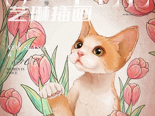 宠物猫咪水彩插画教程