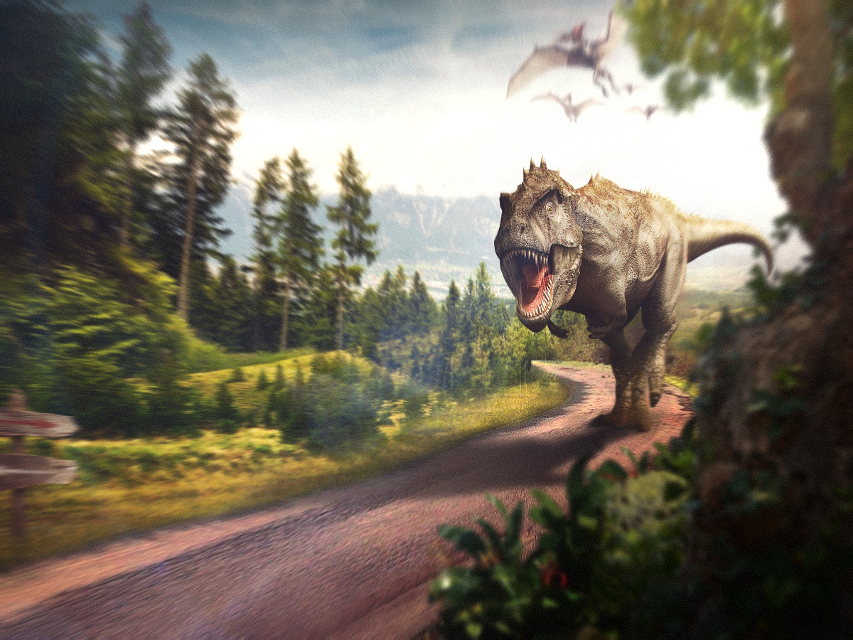 新手上线,老同机勿喷