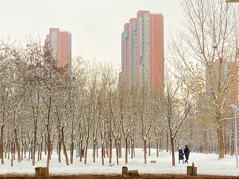 刘勇良手机纪实摄影:雪后美景