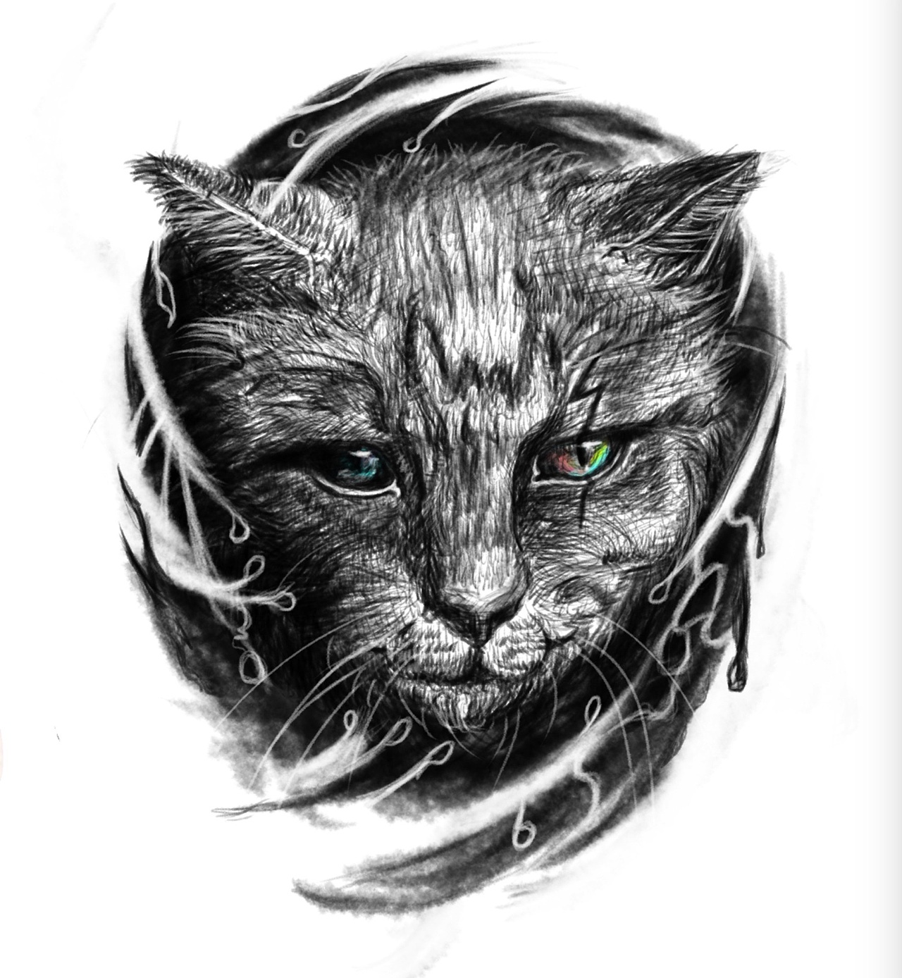 Cat（图ZNjE2MDExMDA=） - 新锐潮流插画 - 站酷设计师nosforatu原创素材 - 站酷ZCOOL