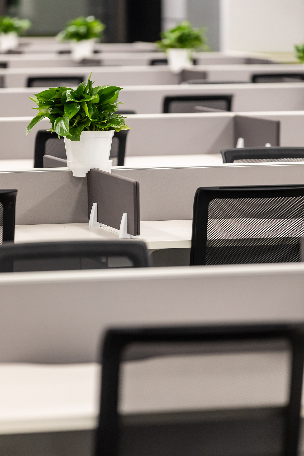 佳能（中国）完工照片