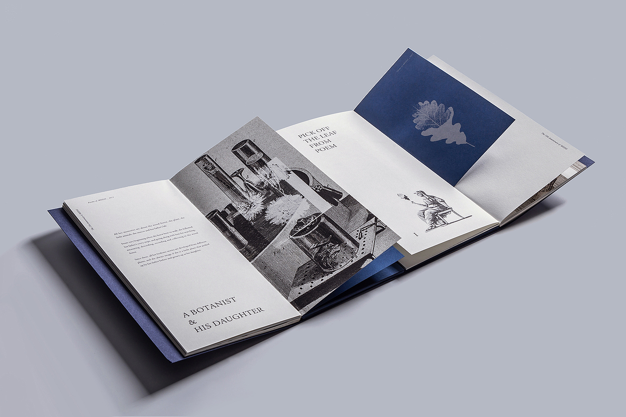 MIIDII谜底®️15周年特辑 | POEMS OF MIIDII