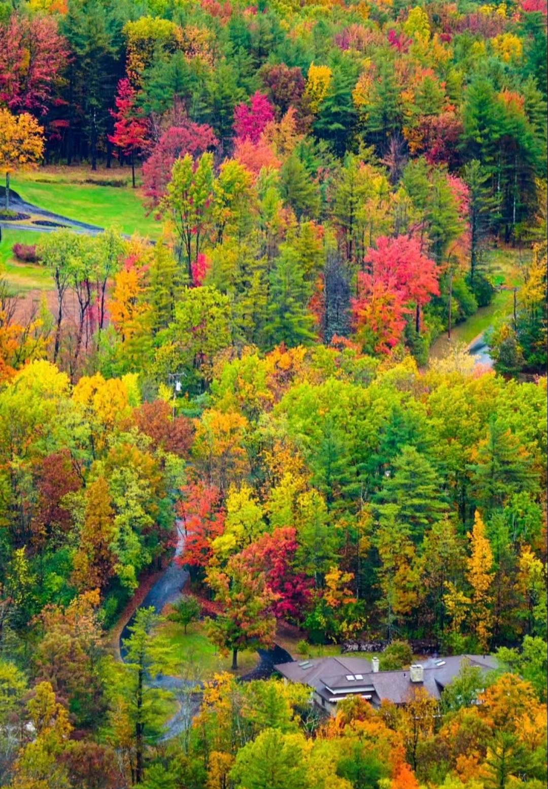 岁月金秋至，烟火伴清欢 ..（图ZMzk2MzU4MTI4） - 风光摄影 - 站酷设计师一小迷糊一原创素材 - 站酷ZCOOL