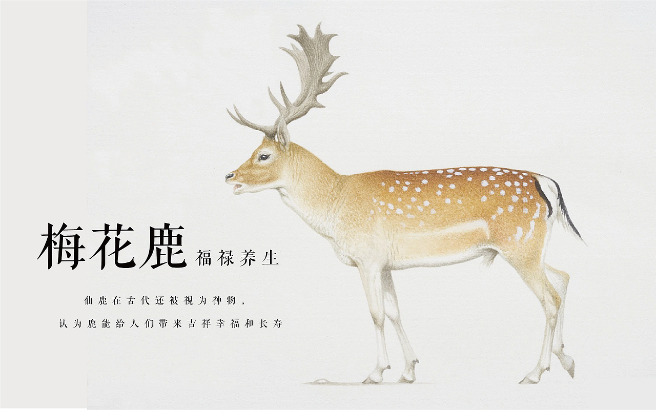 新奥集团-健康理疗镜（图ZMjE4MzkwMjY4） - 品牌 - 站酷设计师HAOZ_DAICH原创素材 - 站酷ZCOOL