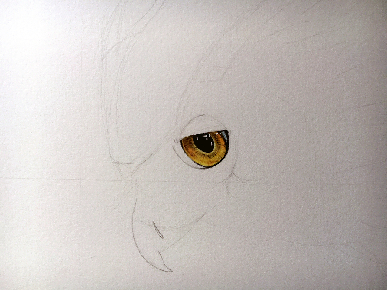 2017为老妈摸了一条鱼（图ZNjkyOTI3NjA=） - 绘画 - 站酷设计师可以小筑原创素材 - 站酷ZCOOL