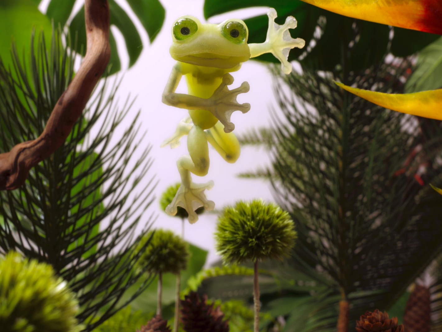 Animated Frogs Jumping