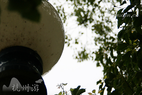 杭州游!