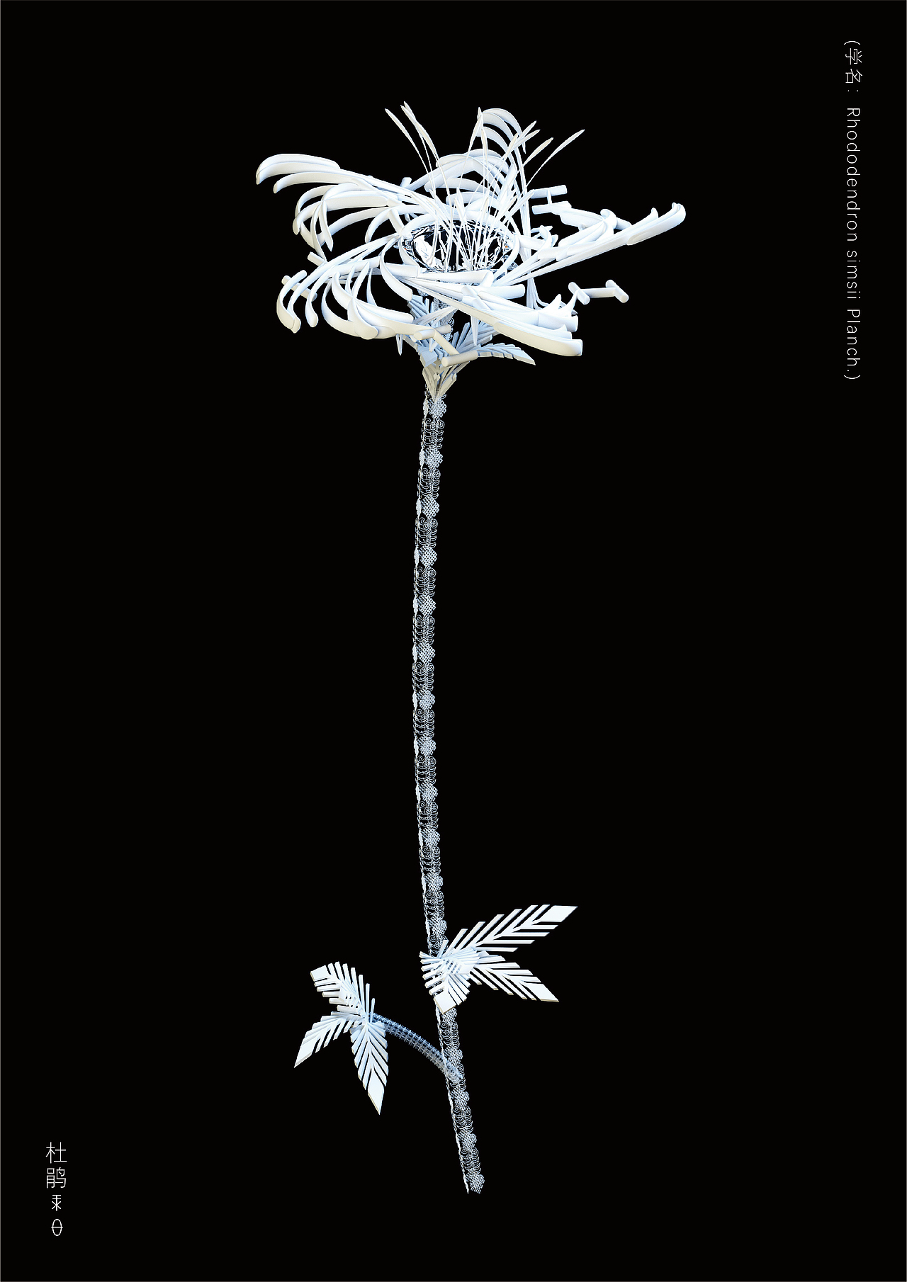 虚拟生境-彝族绣花创新