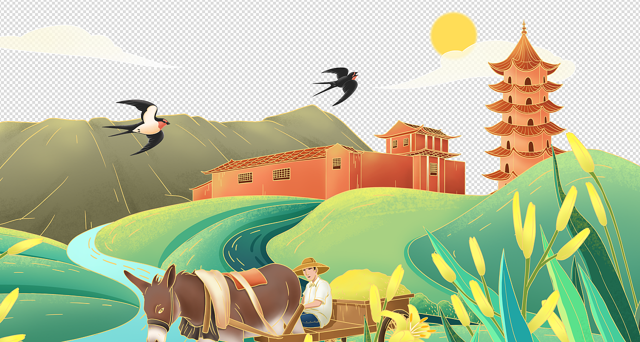 大同黄花菜包装设计插画包装设计