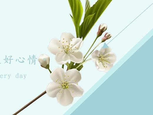 banner（个人主页-ZMzE3NTIzNDg=） - 运营设计 - 站酷设计师晓晨曦原创素材 - 站酷ZCOOL