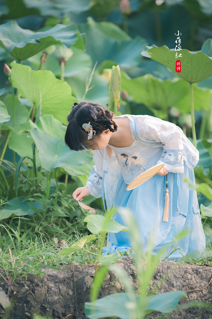 小荷源记（图ZMTY4NTM5NjE2） - 人像摄影 - 站酷设计师一只小心晨原创素材 - 站酷ZCOOL