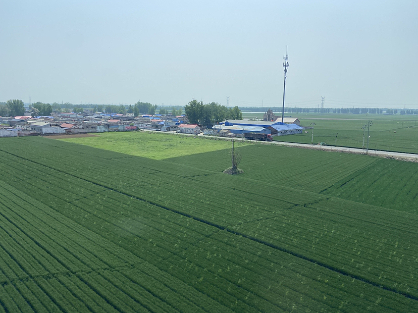 刘勇良手机纪实摄影:初夏