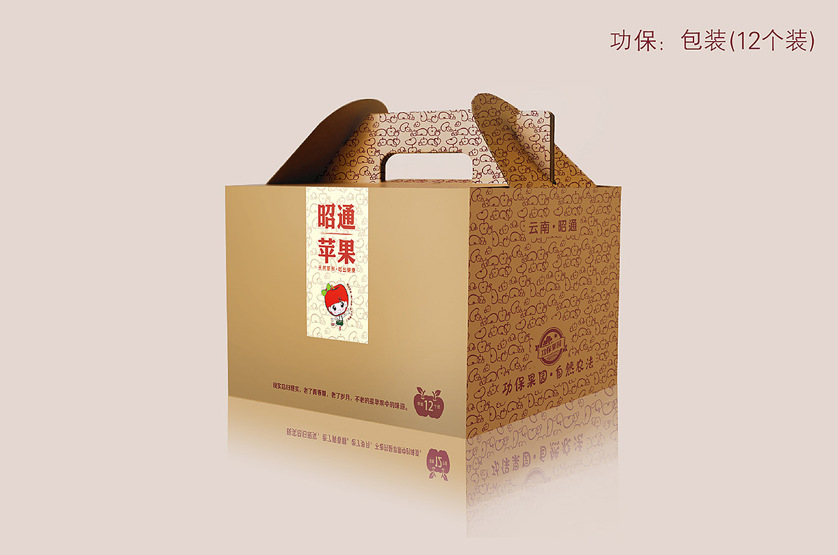 昭通功保苹果包装设计