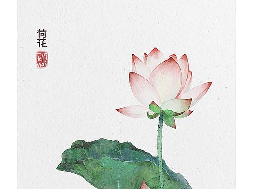 植物花卉练习