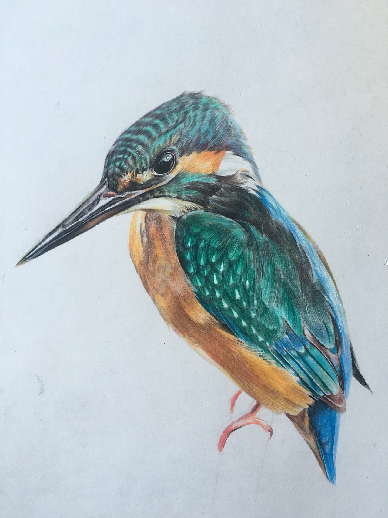 彩鉛（圖ZOTU5ODk3NzI=） - 繪畫 - 站酷設計師達達手繪原創(chuàng)素材 - 站酷ZCOOL