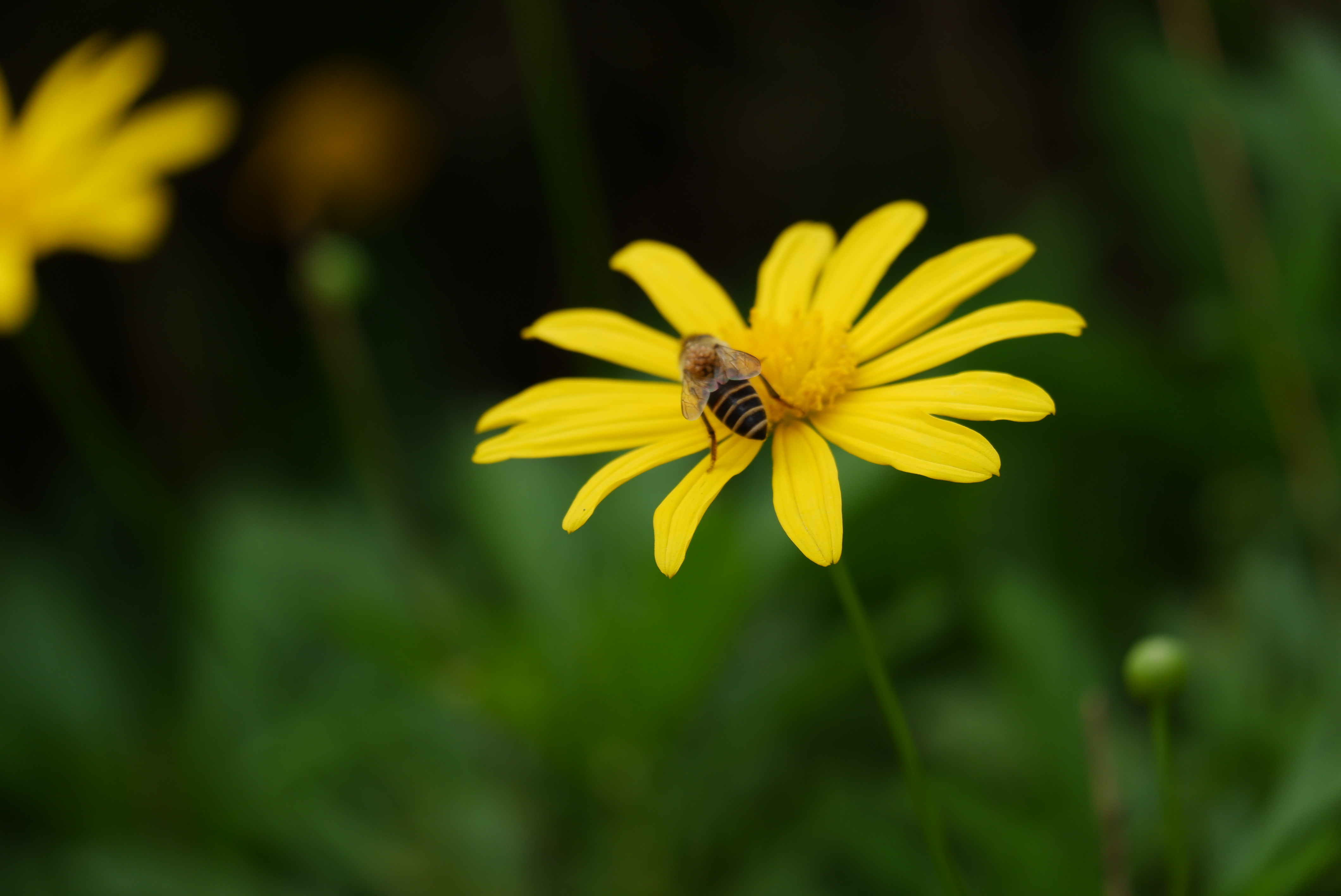 邓娇娇的个人主页（封面预览） - 主页封面设置 - 站酷设计师邓娇娇原创素材 - 站酷ZCOOL
