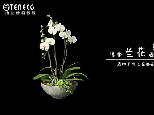 【拾艺绘画教程】香香的白玉兰