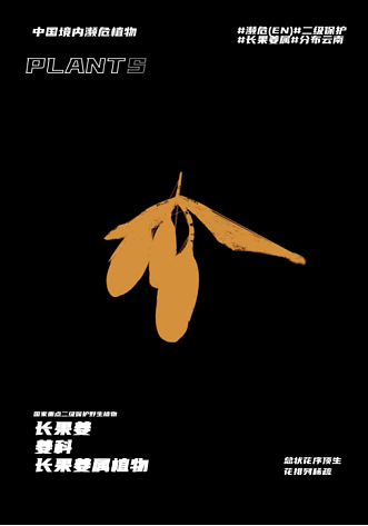 幽明芳荪——中国境内濒危植物数字化视觉形象设计