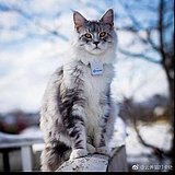 张二吉的头像