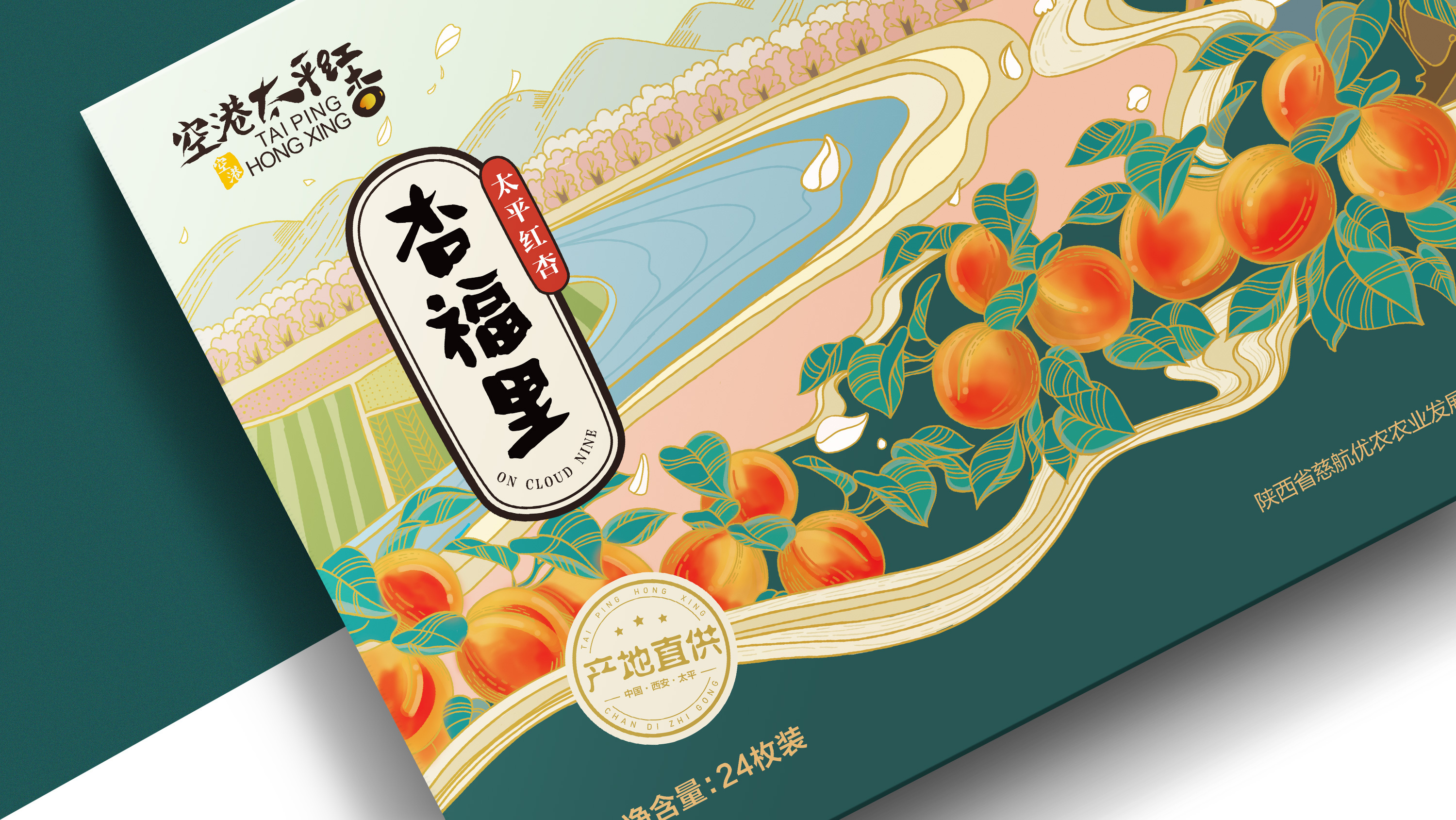 水果包装--杏--包装设计