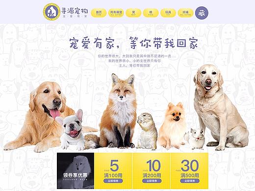 电商 首页  宠物 宠物周边