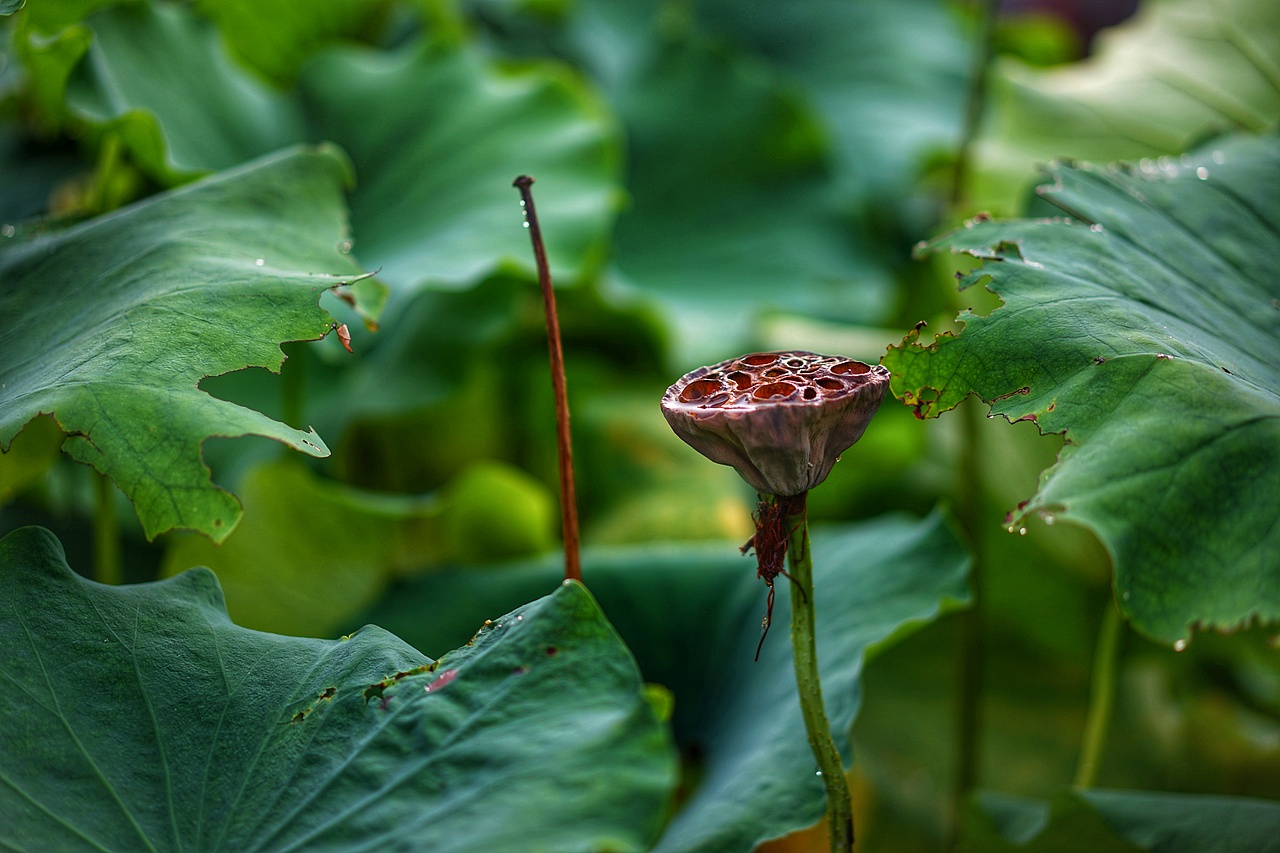 时光印记（图ZMTIxOTIwNDE2） - 人文/纪实摄影 - 站酷设计师阿悠设计事务所原创素材 - 站酷ZCOOL