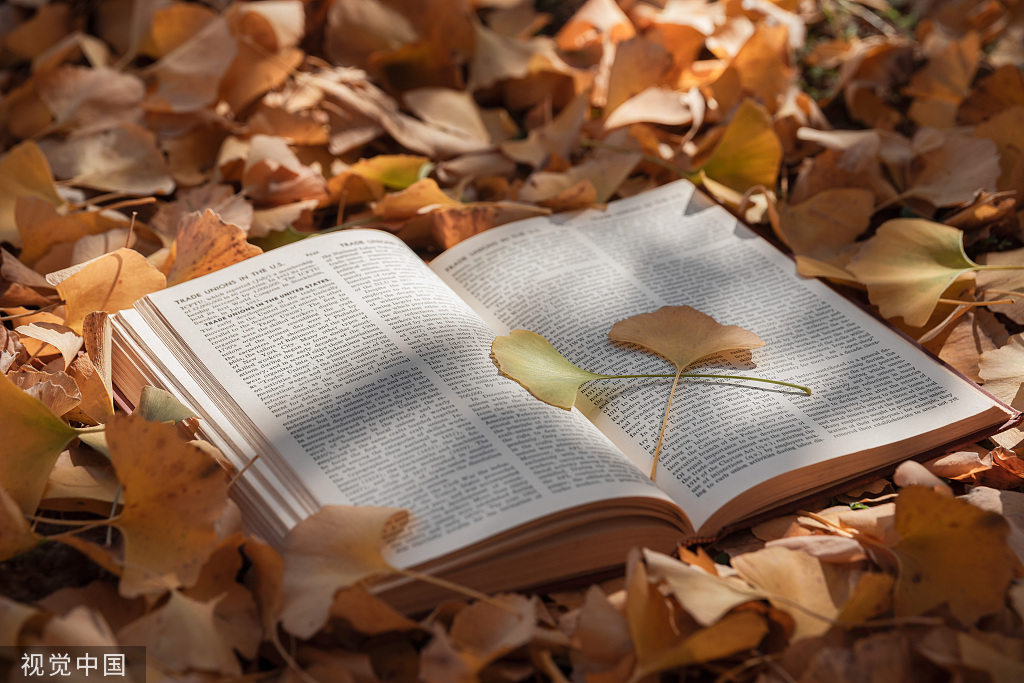 钡呗的个人主页（封面预览） - 主页封面设置 - 站酷设计师钡呗原创素材 - 站酷ZCOOL